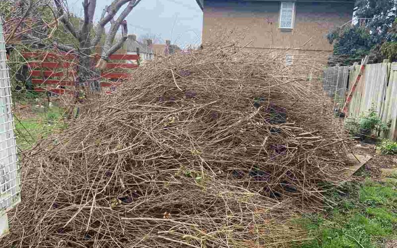 garden-waste-removal Garden waste removal